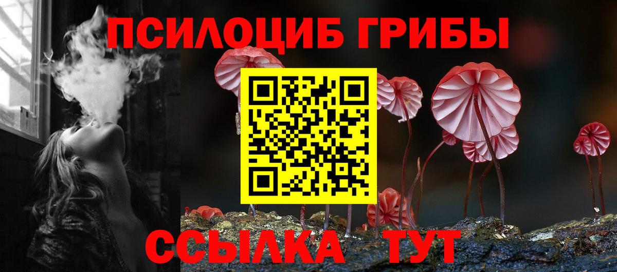 Псилоцибиновые грибы мухоморы  Псилоцибиновые грибы GOLDEN TEACHER  Людиново  Вход с VPN 